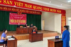Phối hợp xét xử lưu động vụ án hình sự tại quận Cẩm Lệ