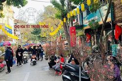 Những tuyến đường nào ở Hà Nội bị cấm để mở chợ hoa Tết 2023?
