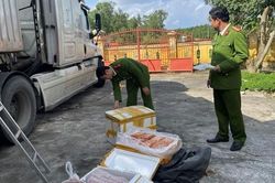 Tạm giữ container chở hàng trăm thùng xốp chứa thịt động vật không rõ nguồn gốc