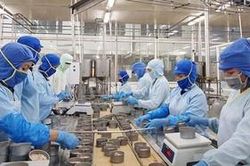 GDP tăng 8,02%, tiền đề tốt cho năm 2023
