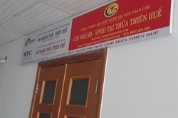 Chính trị - Xã hội Pháp luật - Cuộc sống Vì sao Tổng giám đốc Công ty Toàn Cầu bị bắt?