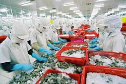 Kim ngạch xuất khẩu Việt Nam sang các nước khối CPTPP tăng trưởng ấn tượng