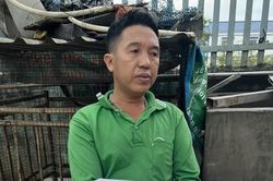 TPHCM: 'Đột kích' xưởng sản xuất nước mắm, bột ngọt, bột nêm giả quy mô lớn