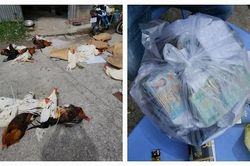 Kiên Giang: Phá điểm đá gà ăn tiền, thu giữ gần 200 triệu đồng