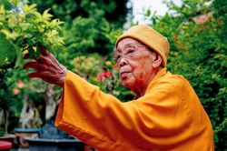 Đại lão Hòa thượng Thích Hiển Tu: 'Chỉ nghĩ tới niệm Phật mỗi ngày'