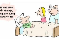 Vợ cao thủ đối phó với ông chồng đến chết còn tham