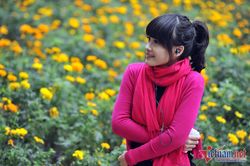 Dự báo thời tiết 8/1: Miền Bắc nắng ấm ngày cuối tuần