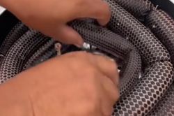 Dân mạng 'phát hoảng' trước món lạp xưởng rắn của cô gái: Món ăn thách thức lòng dũng cảm