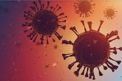 Biến thể XBB có khả năng tránh miễn dịch, vaccine vẫn là biện pháp hiệu quả để phòng chống COVID-19