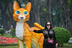 Linh vật mèo với hình dáng khác thường gây tranh cãi ở Hà Nội