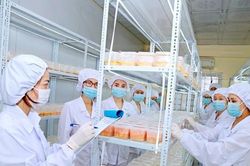 10 dấu ấn và sự kiện nổi bật của trường Cao đẳng Dược Trung ương Hải Dương năm 2022