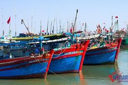 Bà Rịa - Vũng Tàu phạt 4 chủ tàu cá hơn 2,5 tỷ đồng