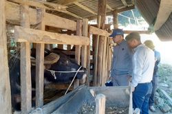 Chủ động phòng chống rét cho vật nuôi