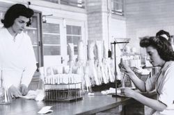 Phép màu của thuốc kháng sinh