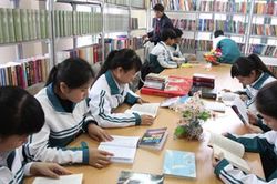 Điều kiện hưởng phụ cấp độc hại mức 0,2