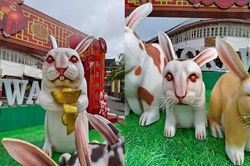 Hết hồn hình ảnh linh vật chào năm mới ở Indonesia