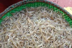 Mắm tép mà ngon…