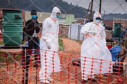 Uganda tuyên bố chấm dứt dịch Ebola sau gần 4 tháng hoành hành