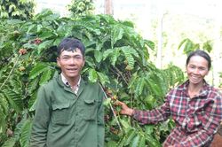 Làm giàu nhờ ý chí và nghị lực