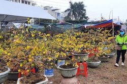 Thời tiết miền Bắc đang ấm dần lên, Hà Nội mưa nhỏ và sương mù
