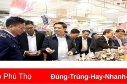 Kiểm tra bình ổn thị trường hàng hóa Tết nguyên đán Quý Mão 2023