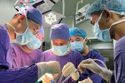 Đi phượt vùng cao, nhiều người nước ngoài gặp nạn được cứu sống kịp thời
