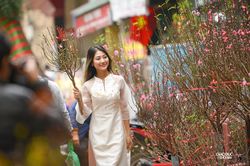 Chợ hoa Hàng Lược rực rỡ, tấp nập người dân mua sắm Tết