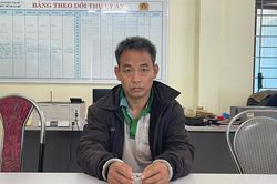 Trốn truy nã 11 năm vẫn không thoát