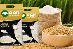 Tân Long Group đưa gạo Việt chinh phục thế giới