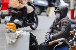 Từ đêm 15/1 đến ngày 18/1, Bắc Bộ rét đậm, vùng núi rét hại