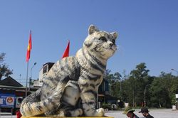 Ngắm 'Miss Mèo' cao 3,1m được cộng đồng mạng tặng 'mưa lời khen'