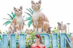 Bạn trẻ diện áo dài chụp hình với linh vật 'gia đình mèo' Tết 2023 ở Bình Định