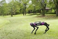 Samsung sắp ra mắt robot 4 chân cạnh tranh với Hyundai
