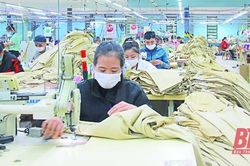 Xuất khẩu Thanh Hóa - tăng trưởng ấn tượng