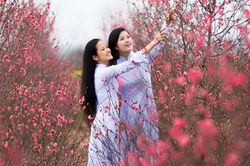 Mùa hy vọng, ước mơ!
