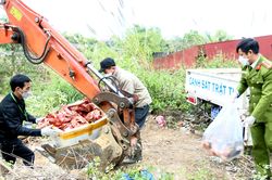 Tiêu hủy 300kg hàng hóa vi phạm về vệ sinh an toàn thực phẩm