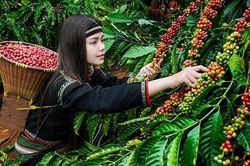 Bức tranh kinh tế hậu Covid-19: Thách thức, thành quả và triển vọng