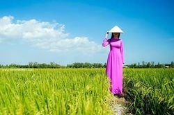 Người của mồ hôi