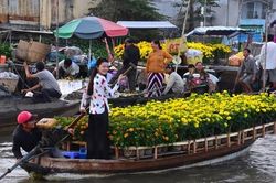 Đã thấy mùi Tết tràn khắp nơi, nhớ ba ngồi nướng khô cá lóc thơm nức mũi