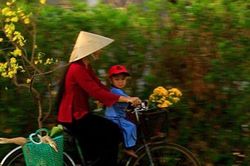 Món quà xuân: Truyện ngắn của Nguyễn Văn Dô