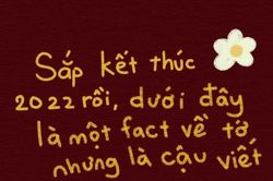 Thử thách Một fact về tớ nhưng là cậu viết: Gen Z thích chơi nhưng sợ 'quê' vì không ai trả lời