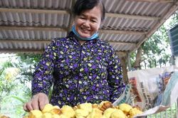 Bánh thuẫn, dưa món - những món ăn dân dã đượm vị Tết