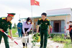 Lũy thép sống vùng biên