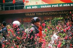 Điểm danh 5 chợ hoa Tết nổi tiếng ở Hà Nội