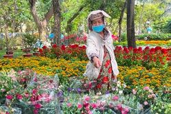 29 Tết: Chưa bao giờ hoa ế như năm nay!