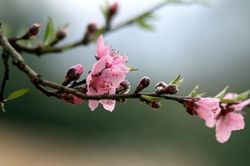 Thời tiết ngày 20/1/2023: Không khí lạnh suy yếu, nhiệt độ ở miền Bắc tăng dần