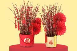 Những loài hoa được chưng Tết nhiều nhất: Vừa đẹp vừa đón vận khí tốt vào nhà