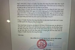 Ông Lê Viết Hải tiếp tục làm chủ tịch hợp pháp của Tập đoàn Xây dựng Hòa Bình