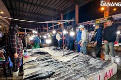 Cảng cá ngày cuối năm