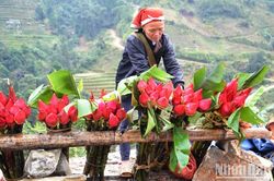 Rộn rã chợ phiên vùng cao ngày Tết